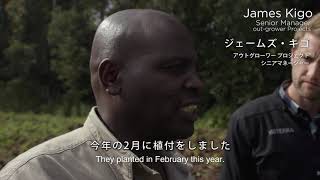 ケニアライジング/コ・インパクト ストーリー 2018