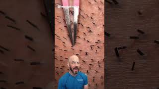 This hair plucking is an interesting hobby 🫢 (credit: @beardplucking on TT)#doctor #satisfying