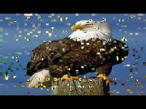 Os Que Esperam E Confia - Zé Marco