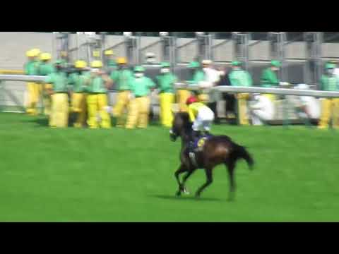 G1オークス優駿牝馬東京競馬場 サークルオブライフ返し馬 2022/05/22 Horse racing in Japan Japanese racehorse