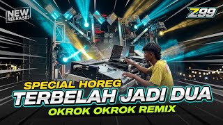 Download lagu DJ TERBELAH JADI DUA VERSI OKROK OKROK SAKERA HOREG BY ZAINUL 99 mp3