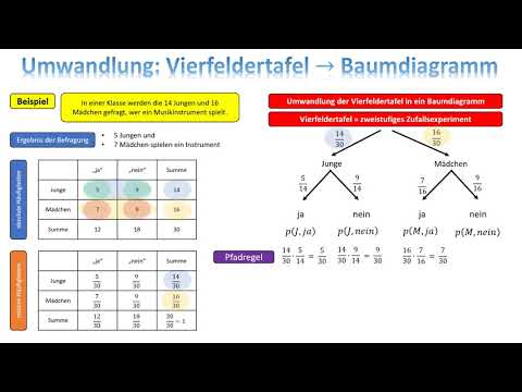 Umwandlung Vierfeldertafel in Baumdiagramm