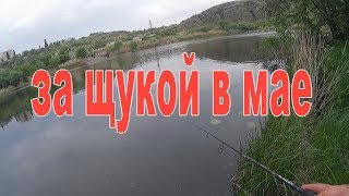 На что ловить щуку в маи