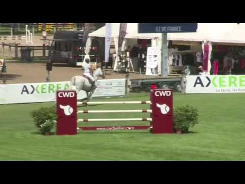 Top GP Mare by Cassus(Cassini x Cantus) - SOLD