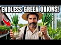 The Only Way You Should Regrow Green Onions At Home No Soil No Garden Costs 0