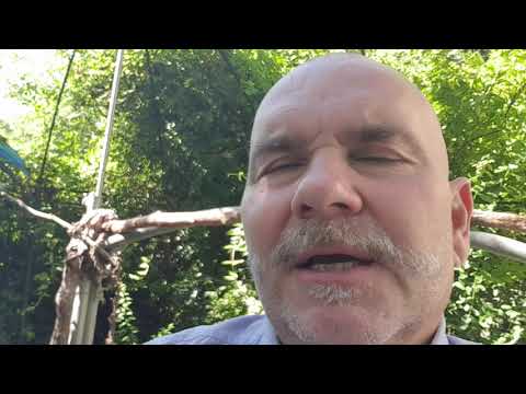 Eight out of Ten for Fleuve Noir aka Black Tide