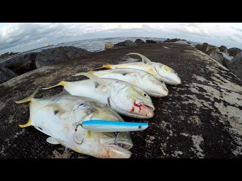 Fish CANNOT Resist This LURE! -Jetty Fishing Florida