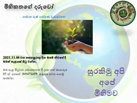 මිහිකතගේ දරුවෝ මීලඟ රුක් රෝපණ වැඩසටහනට ඔබ සූදානම් ද?