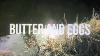 Shana Cleveland & The Sandcastles - Butter And Eggs (OFFICIAL MUSIC VIDEO)