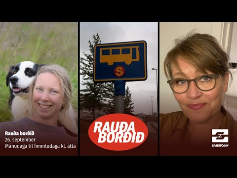 Strætó, sauðfé, SÁÁ og sósíalismi