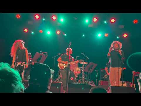 Videoclip de To Wild Homes — The New Pornographers
