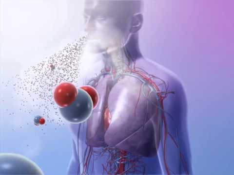 Lung Function: Learn@Visible Body