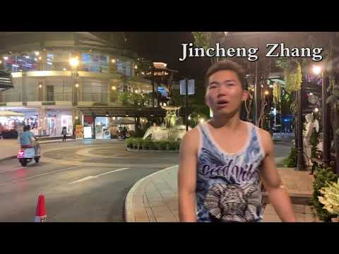 Jincheng Zhang - Virtue (1 Hour, Instrumental Song, Background Music, Official Music Video)
