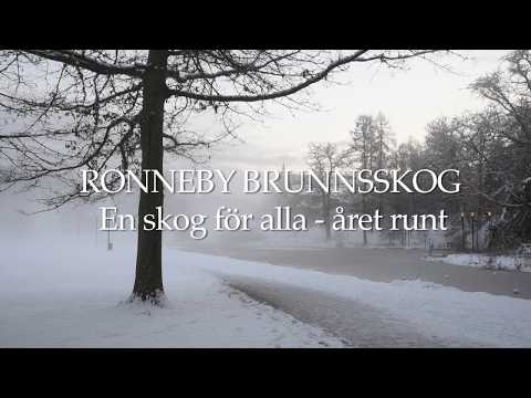 Ronneby Brunnsskog – En skog för alla året om