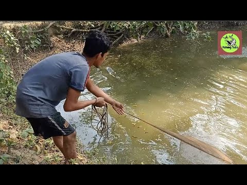 Most Satisfying Cast Net Fishing | Traditional Net Catch Fishing