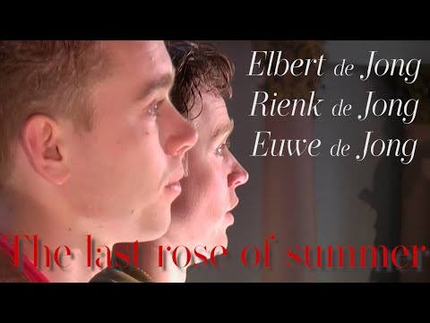 THE LAST ROSE OF SUMMER  Recorded in  2006 - Arr. #euwedejong organ - Rienk & Elbert de Jong