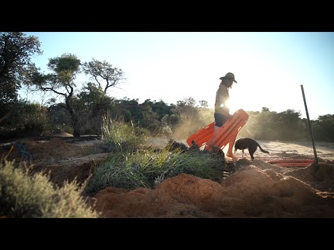 UP S*!T CREEK on a salt lake surrounded by EMUS.