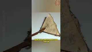 Download lagu Seperti inilah pesawat kertas pertama di dunia! #shorts #faktaunik mp3