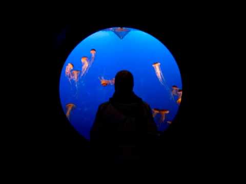 Tujamo, Steve Aoki, Chris Lake vs Martin Garrix - Boneless Animals mash up