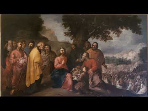 DOMINICA VI POST PENTECOSTEN. 30.VI.2024. Mons. Alberto José González Chaves