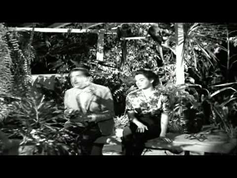 Mazzaropi - Zé do Periquito - Filme Completo - Filme de Comédia | Museu Mazzaropi