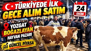 24 EKİM YOZGAT BOĞAZLAYAN GÜNCEL PİYASA 