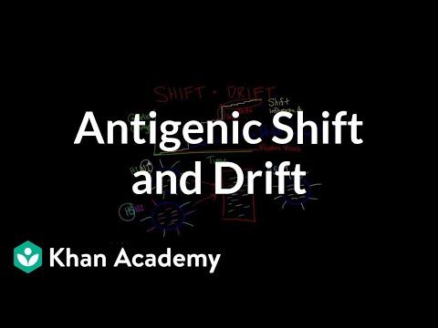 Genetic Shift and Drift
