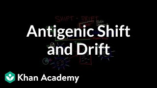 Genetic Shift and Drift