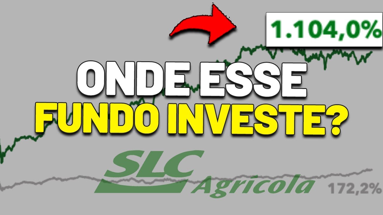 🚨SÃO FORA DA CURVA? 30% AO ANO DE RENTABILIDADE | ONDE O FUNDO CHARLES RIVER INVESTE?
