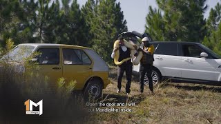 Download lagu Gagashe fails to get rid of Mandlakhe – Lingashoni |1 Magic | S2 | EP 102 mp3 Download lagu Gagashe fails to get rid of Mandlakhe – Lingashoni |1 Magic | S2 | EP 102 mp3