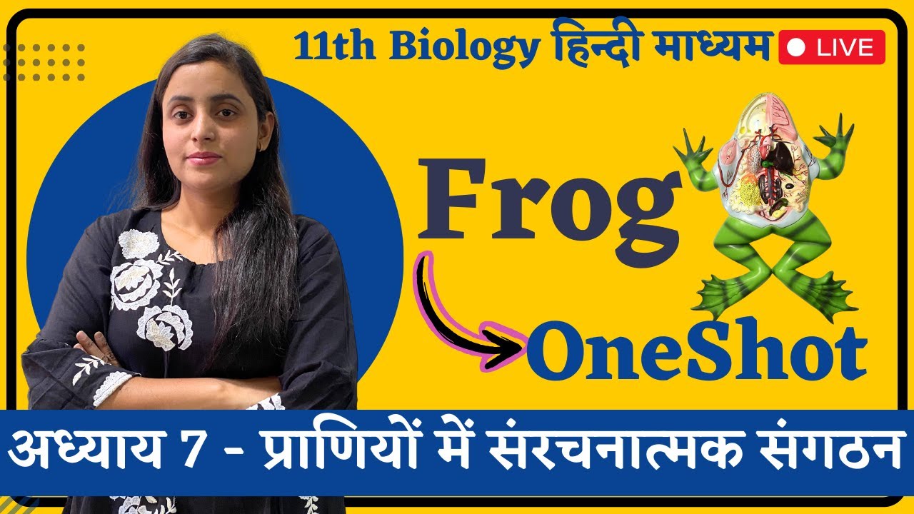 OneShot, Frog (मेंढक) Ch 7 - प्राणियों में संरचनात्मक संगठन | 11th Biology hindi medium Renu Ma'am