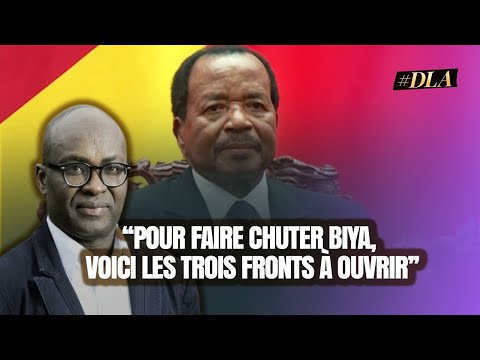 ACHILLE MBEMBE: "HOW WE CAN ACCELERATE THE FALL OF THE BIYA REGIME"