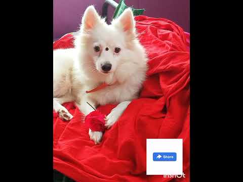 funny S🤣🤣ng/#@dharanarain