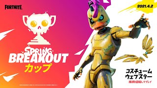 【フォートナイト】デュオ大会配信