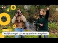 Mensen tellen vogels op hun balkon of tuin