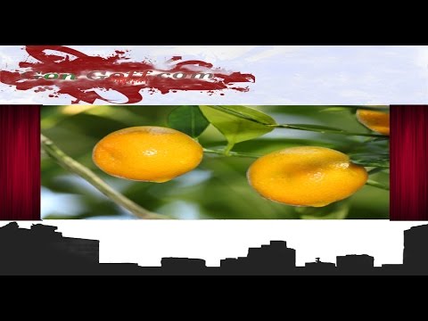Top 10 patogeno femminile Mezzi per aumentare la potenza della farmacia
