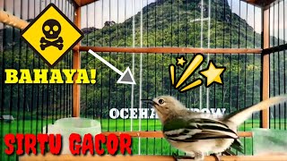 Download lagu GACOR SEKETIKA!..Dengar pangilan ini,Sirtu manapun pasti akan langsung Nyaut dan langsung Bunyi mp3