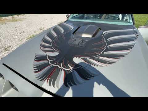 1979 Pontiac Firebird Trans Am (CC-2067228) for sale in Nashville, Illinois