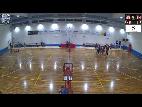 3M PALLAVOLO CAVEZZO - AM ASOLE E BOTTONI NONANTOLA