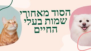 שמות בעלי החיים -  מלמדים על מהותם