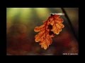 Наша Дарья - Осень (песня Николая Емелина) 