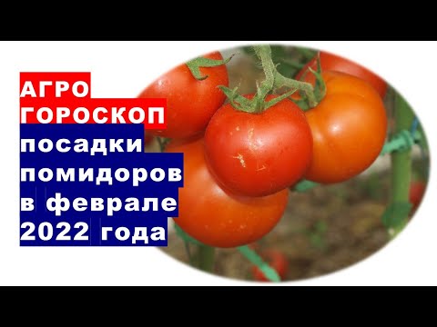 , title : 'Агрогороскоп посева семян помидоров на рассаду в феврале 2022 года'