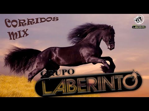 CORRIDOS PESADOS DE LABERINTO 🐎 PUROS CORRIDOS DE CABALLOS DE GRUPO LABERINTO 🔥
