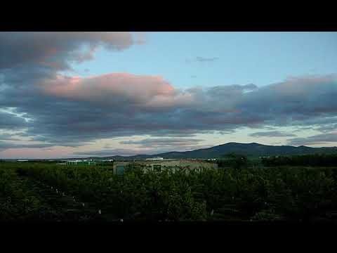 742-JOHANN STAMITZ Sinfonia Pastorale in D Op. 4 Nº 2