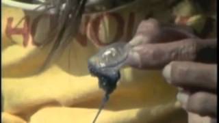 Golden Days by Shana Cleveland and the Sandcastles