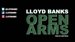 Lloyd Banks - Open Arms