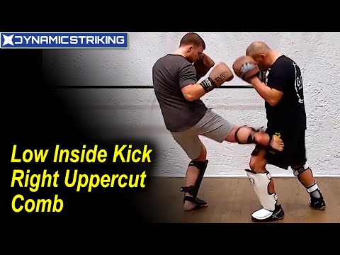 Low Inside Kick Right Uppercut Combo by Burak Bujin