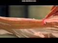 Opening To Cabin Fever 2004 DVD 2011 Reprint