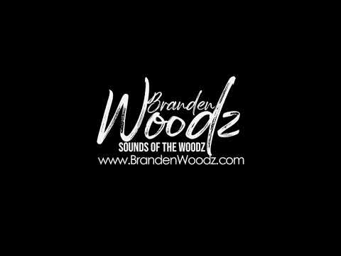 Branden Woodz Featuring Luney Ray - Silence