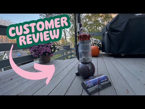 Review: Dyson Ball Animal 3 Vacuum